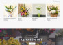 design and develop an elegant wordpress website